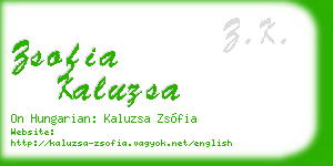 zsofia kaluzsa business card
